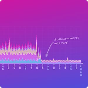 ScaleCommerce Traffic Übersicht